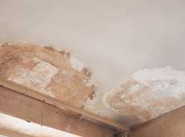 Kitchen damp proofing - Damp plastering - home damp proofing