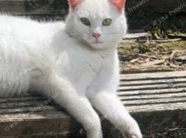 Beautiful X Russian white boy