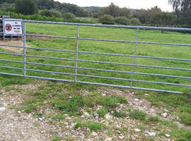 Livery Rowebuck Stables Isfield Uckfield in Uckfield