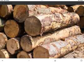 Logs/split logs WANTED