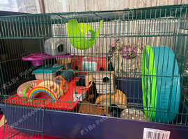 Large hamster cage used