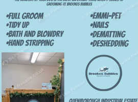 Dog grooming