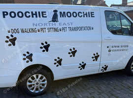 Poochie Moochie dog walking /sitting