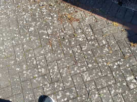 S&D pressure washing services
