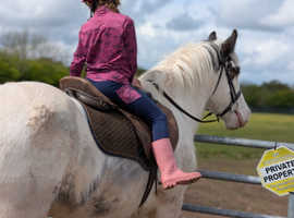 One in a million - super cob