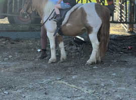 10000% in every way. Super first ridden/ lead fein