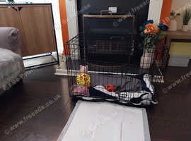Dog cage