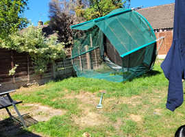 Free Trampoline