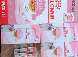 Royal canin kitten meat