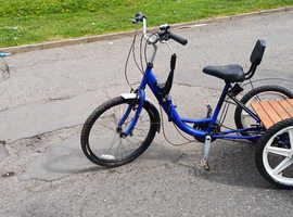 Trike bike £370ono