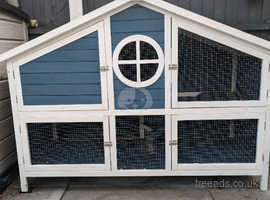 Guinea pigs and large hutch
