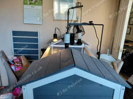 Russian Tortoise and Full Setup For Sale