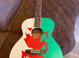 Freshman accoustic guitar