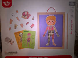 Tooky Magnetic Wooden Body Chart Educational. X 8