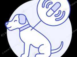 Dog and cat microchipping