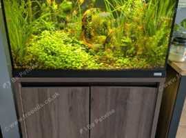 Roma 125 walnut fish tank aquarium