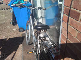 Ladies bike, silverfish (reflex)