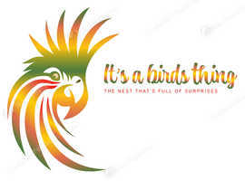 It's a Birds Thing!!!