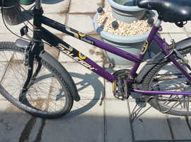 Ladies cycle