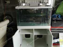 Marine Fish Tank