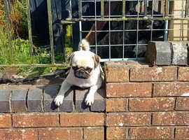 Rehoming