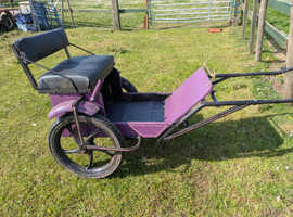 Small Shetland cart