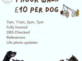 Dog Walking and Per Service Leeds
