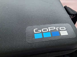 Go pro 10 camra