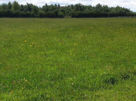 Grass livery DL1 3 Darlington