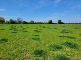 Livery available near York