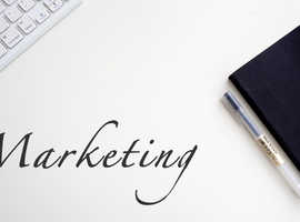 Hire a Marketing Consultant