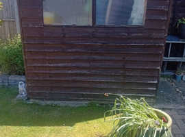 Shed