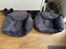 Ross dog outlet beds