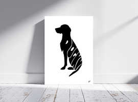 Not just a Pet Portrait  and more