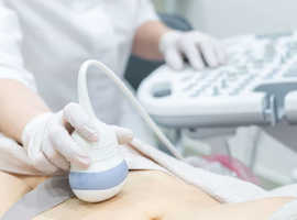 Fertility Ultrasound Scan