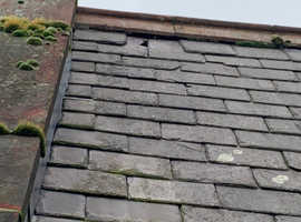 Roofer and building services