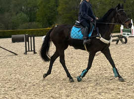 Super lovley ride  mother / daughter share