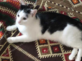 Rehome