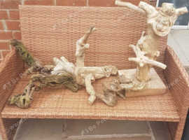 Bog wood 5 pieces of usexin an avairy