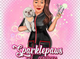 FULLY QUALIFIED PROFESSIONAL 1:1 DOG GROOMING SERVICE