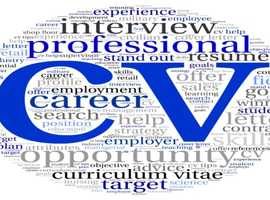 Affordable CV Writing Service and Job Help