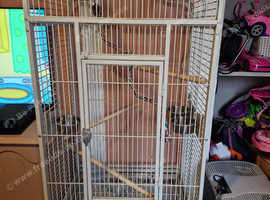 Large Parrot Cage With Lots Of Accessories In Gravesend On Freeads 