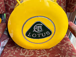 Lotus petrol Jerry can with brass lid