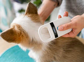 Mobile Pet Microchipping - Devon & Cornwall