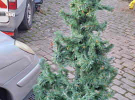 5 Foot Fake Pine Xmas Tree