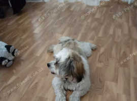 for sale
