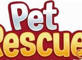 pet rescue