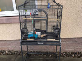 PARROT CAGE FOR SALE