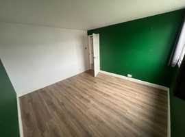 Room to let in house share. the room is for one lady. 12ft 12ft 550 pcm plus bills. none smoking.