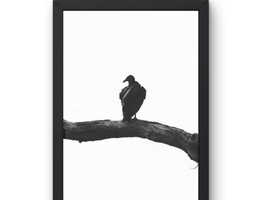Grim Perch II Digital Download Photo, Moody Wall Art Print, Dark Aesthetic Photography, Instant Download Decor for Home & Office